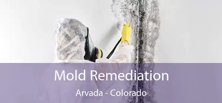 Mold Remediation Arvada - Colorado