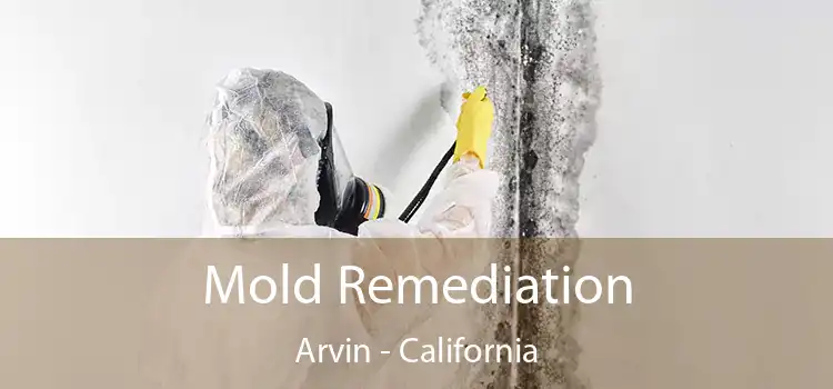 Mold Remediation Arvin - California