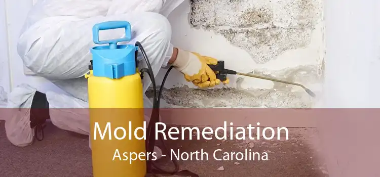 Mold Remediation Aspers - North Carolina