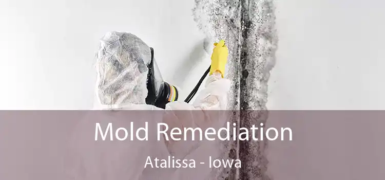 Mold Remediation Atalissa - Iowa