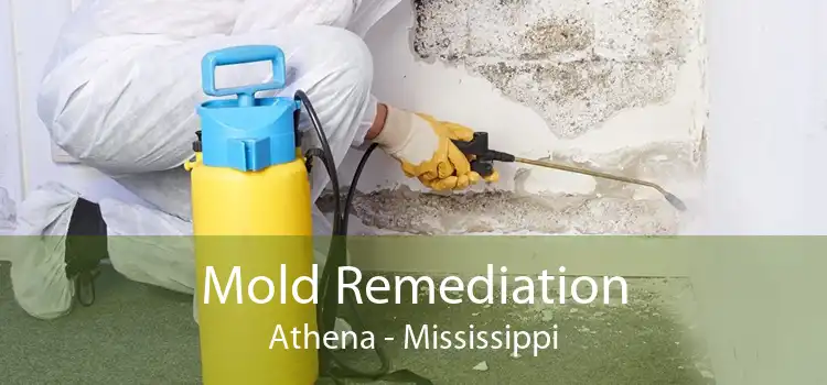 Mold Remediation Athena - Mississippi