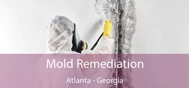 Mold Remediation Atlanta - Georgia