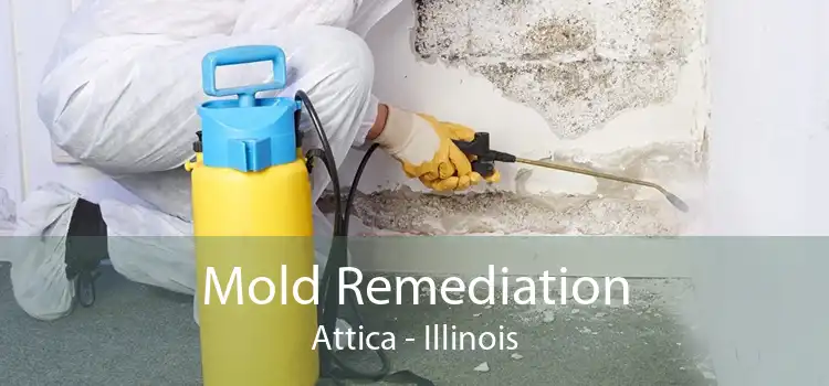 Mold Remediation Attica - Illinois