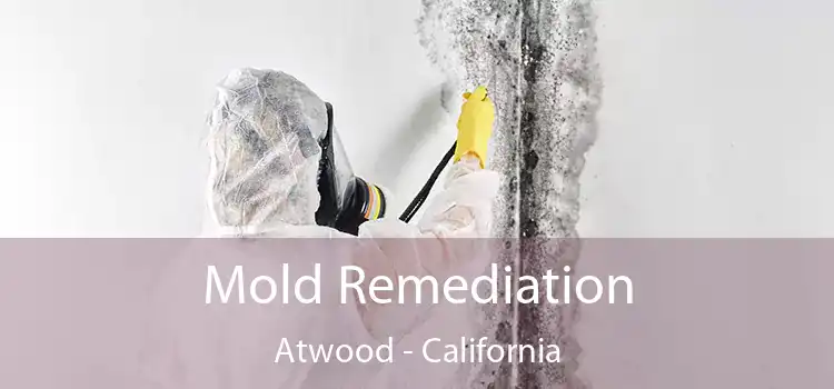 Mold Remediation Atwood - California