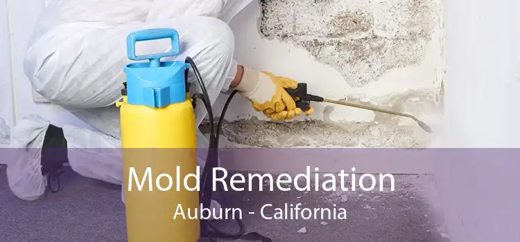 Mold Remediation Auburn - California