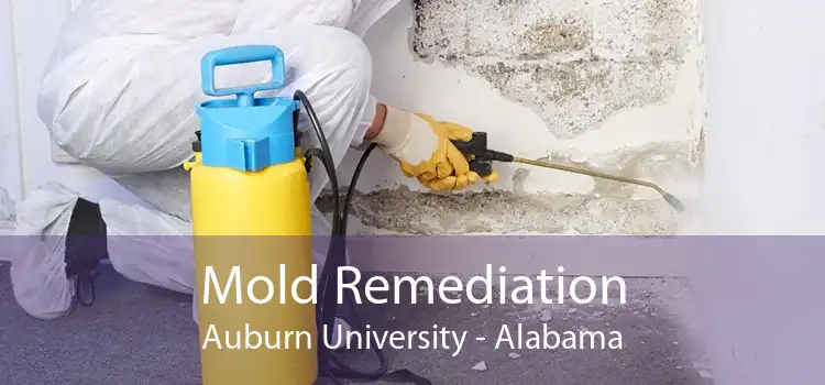 Mold Remediation Auburn University - Alabama