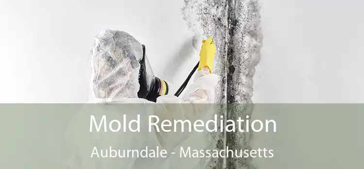 Mold Remediation Auburndale - Massachusetts