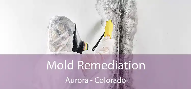 Mold Remediation Aurora - Colorado