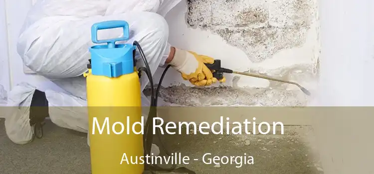 Mold Remediation Austinville - Georgia