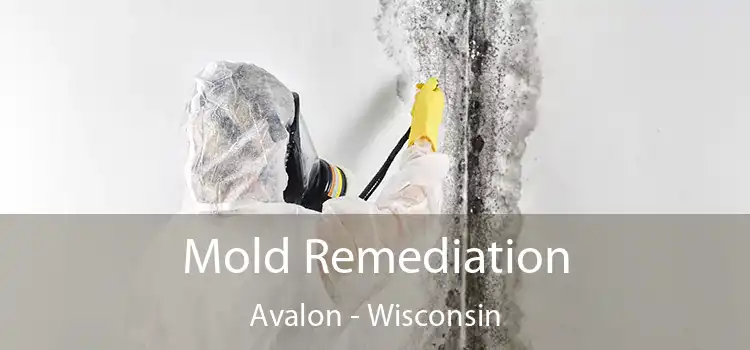 Mold Remediation Avalon - Wisconsin