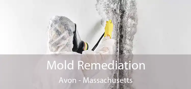 Mold Remediation Avon - Massachusetts