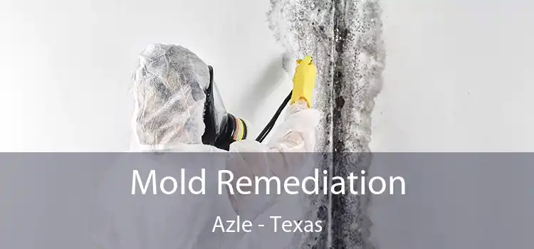 Mold Remediation Azle - Texas