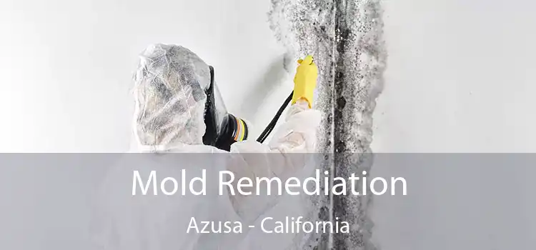 Mold Remediation Azusa - California