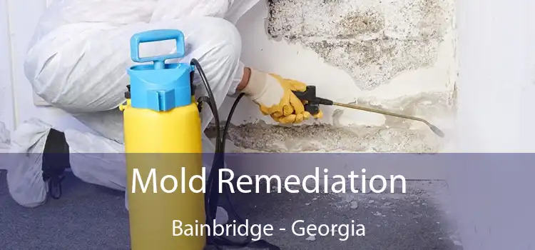 Mold Remediation Bainbridge - Georgia