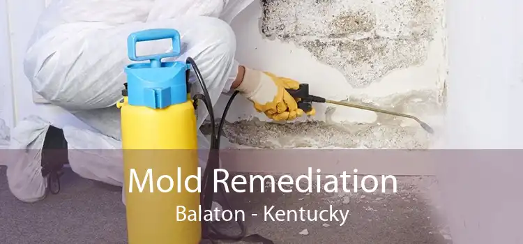 Mold Remediation Balaton - Kentucky