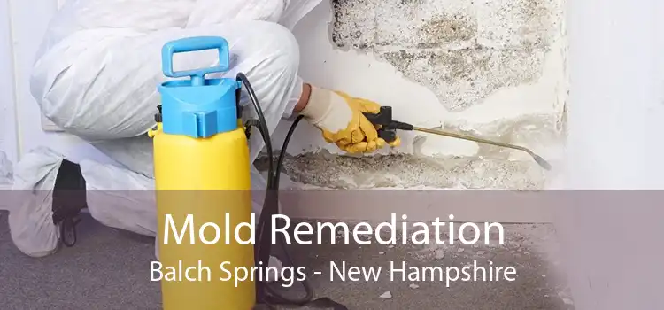 Mold Remediation Balch Springs - New Hampshire