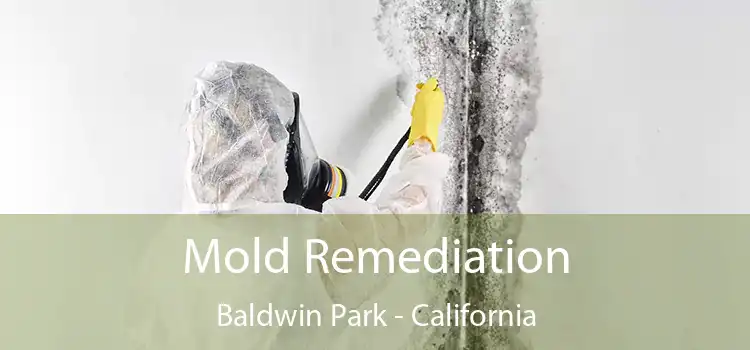 Mold Remediation Baldwin Park - California