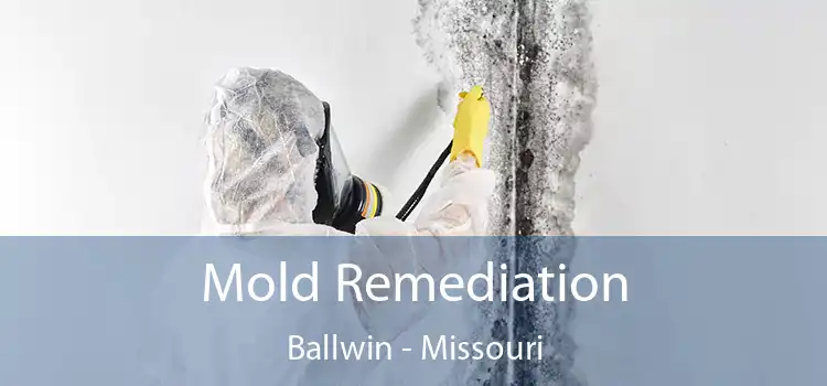 Mold Remediation Ballwin - Missouri