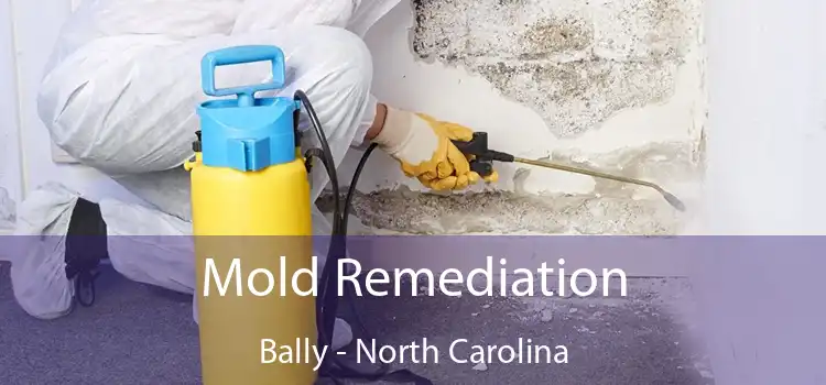 Mold Remediation Bally - North Carolina