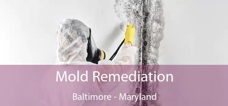 Mold Remediation Baltimore - Maryland