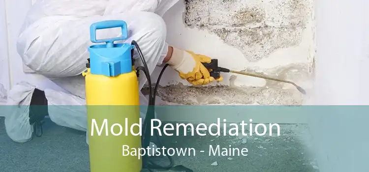 Mold Remediation Baptistown - Maine