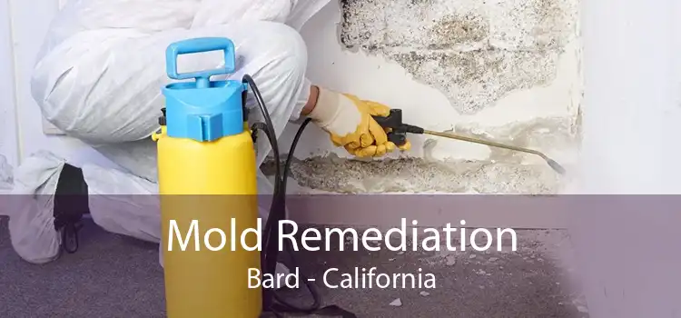 Mold Remediation Bard - California