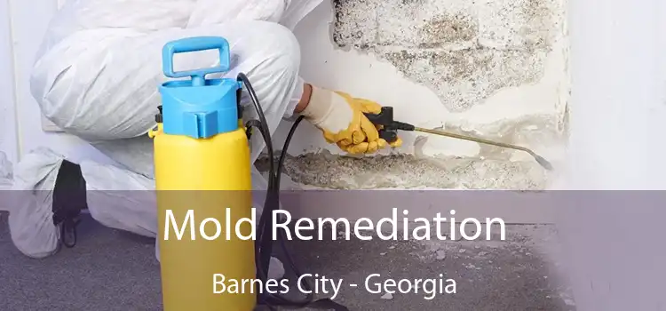 Mold Remediation Barnes City - Georgia