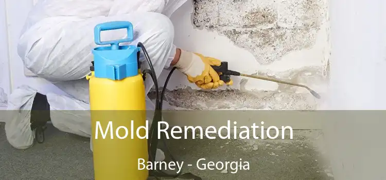 Mold Remediation Barney - Georgia