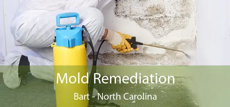 Mold Remediation Bart - North Carolina