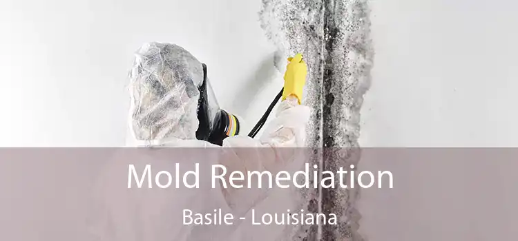Mold Remediation Basile - Louisiana