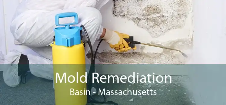 Mold Remediation Basin - Massachusetts