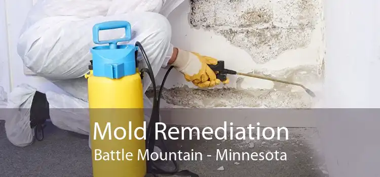 Mold Remediation Battle Mountain - Minnesota