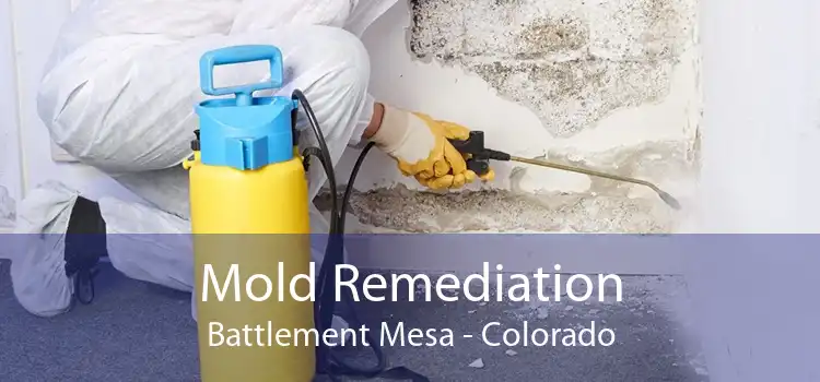 Mold Remediation Battlement Mesa - Colorado
