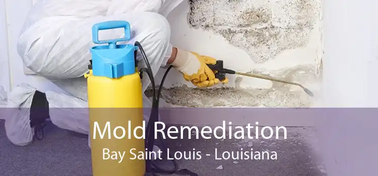 Mold Remediation Bay Saint Louis - Louisiana