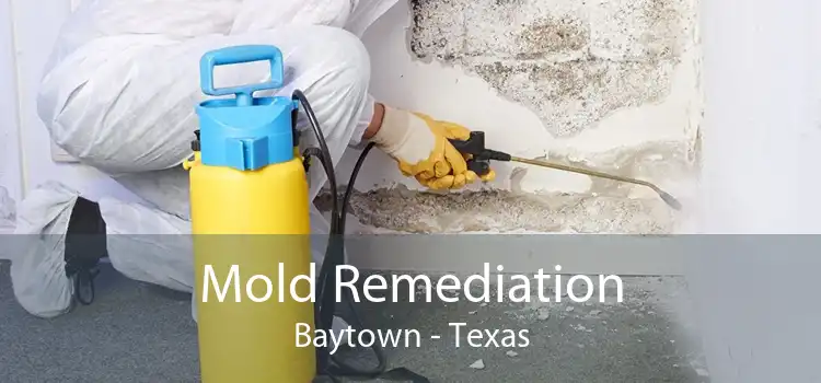 Mold Remediation Baytown - Texas