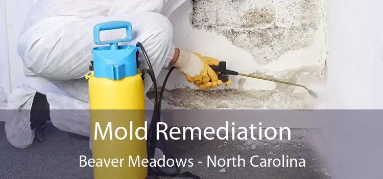 Mold Remediation Beaver Meadows - North Carolina