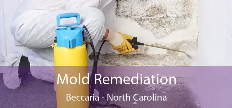 Mold Remediation Beccaria - North Carolina