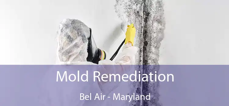 Mold Remediation Bel Air - Maryland