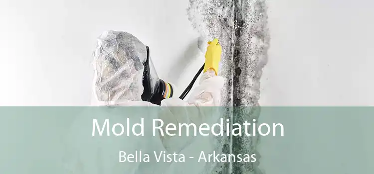 Mold Remediation Bella Vista - Arkansas