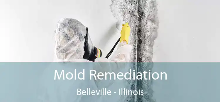 Mold Remediation Belleville - Illinois