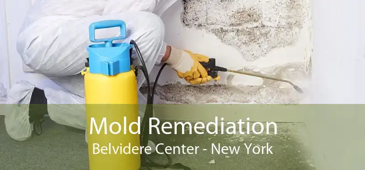Mold Remediation Belvidere Center - New York