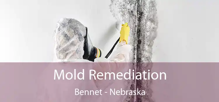 Mold Remediation Bennet - Nebraska