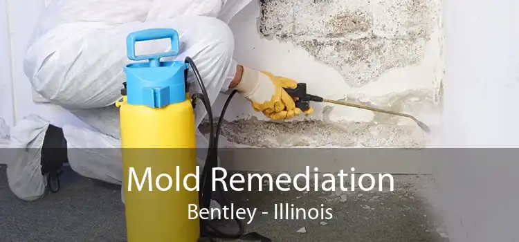 Mold Remediation Bentley - Illinois