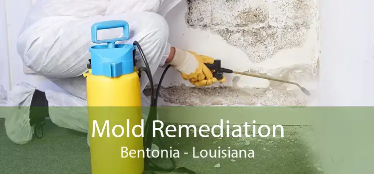 Mold Remediation Bentonia - Louisiana