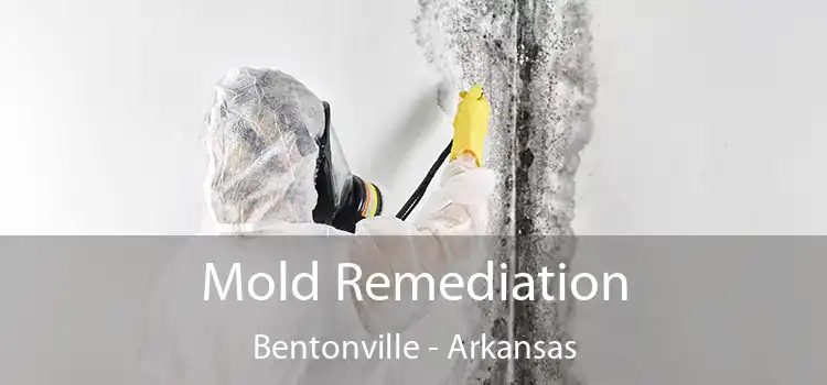 Mold Remediation Bentonville - Arkansas