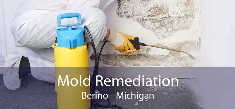 Mold Remediation Berino - Michigan