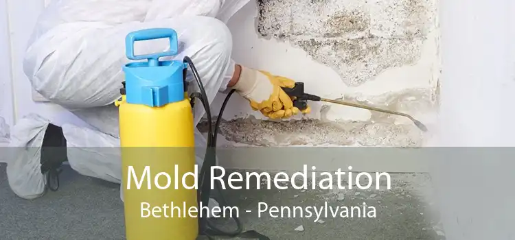 Mold Remediation Bethlehem - Pennsylvania