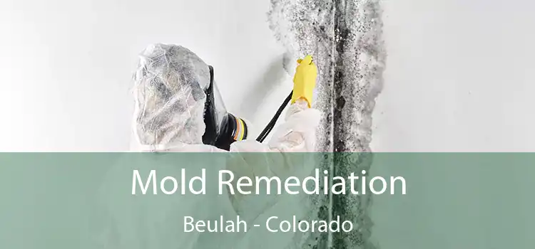 Mold Remediation Beulah - Colorado