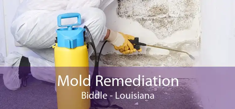 Mold Remediation Biddle - Louisiana