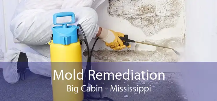 Mold Remediation Big Cabin - Mississippi